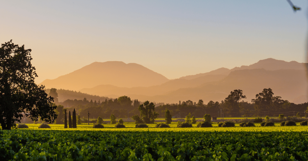 napa captions