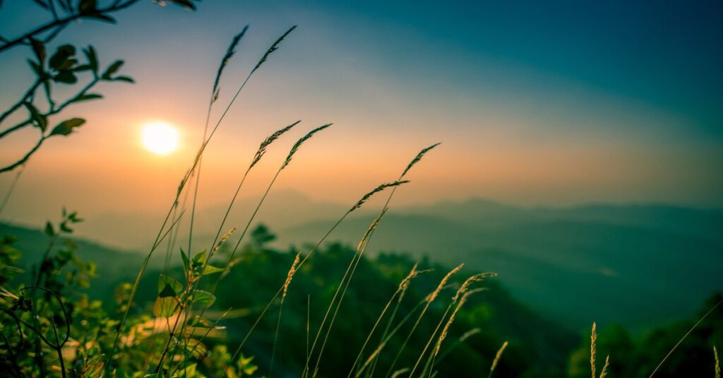 nature captions