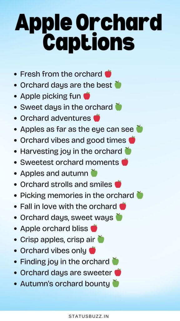 Apple Orchard Captions