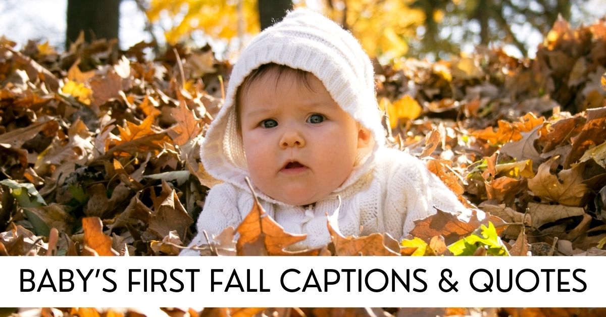 baby's first fall captions and quotes