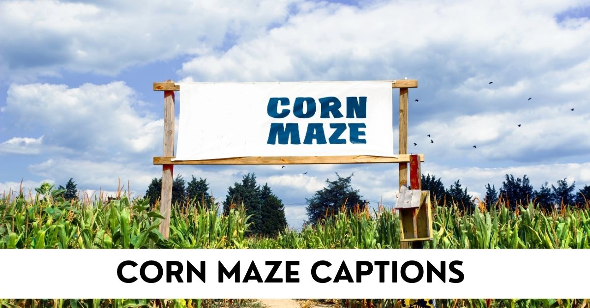 corn maze captions