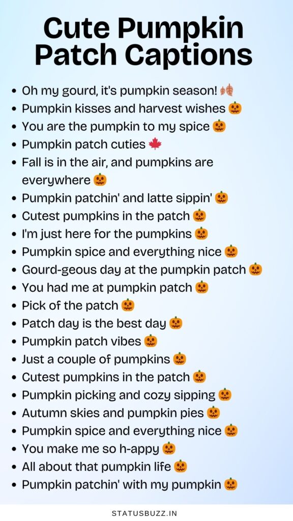 cute pumpkin patch captions