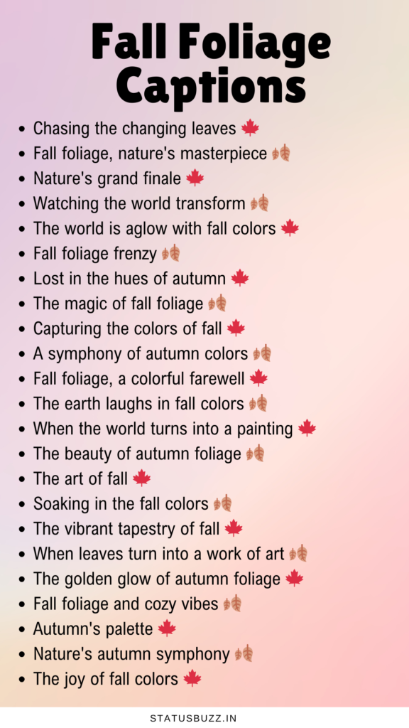 fall foliage captions