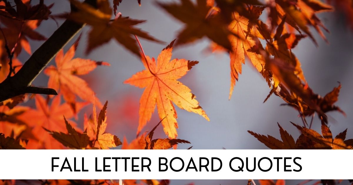 Fall Letter Board Quotes