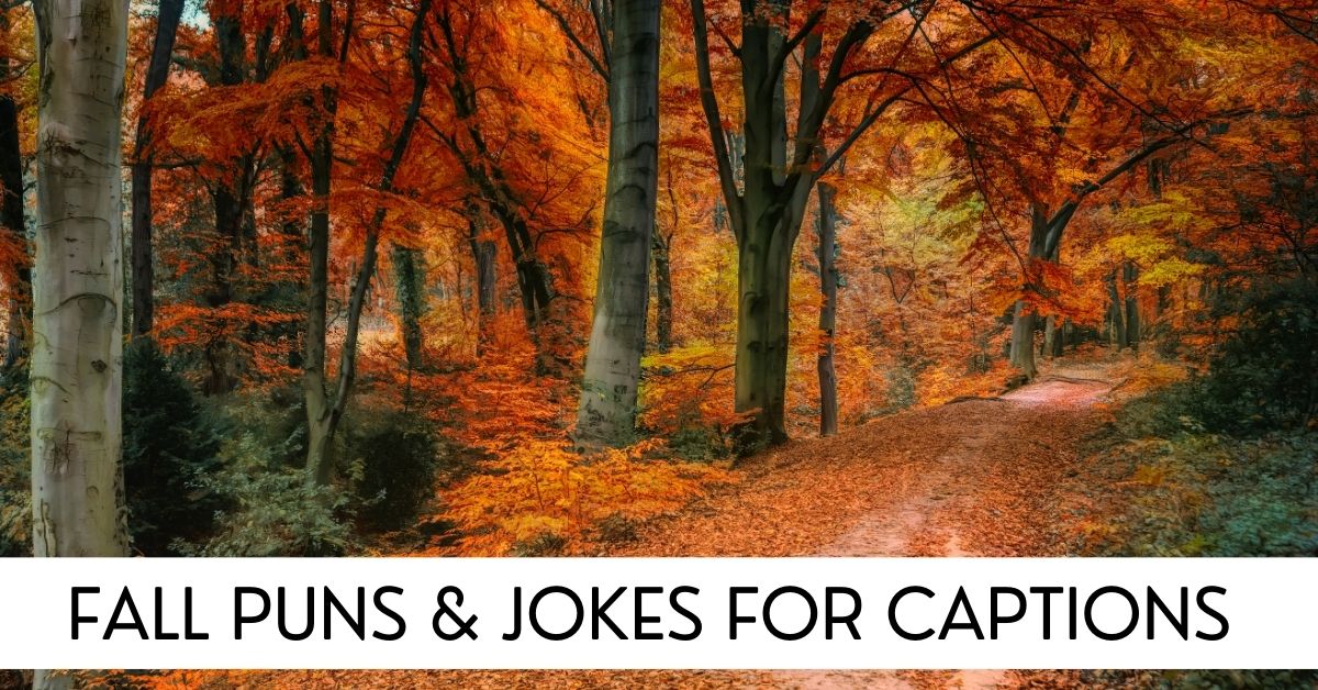 fall puns