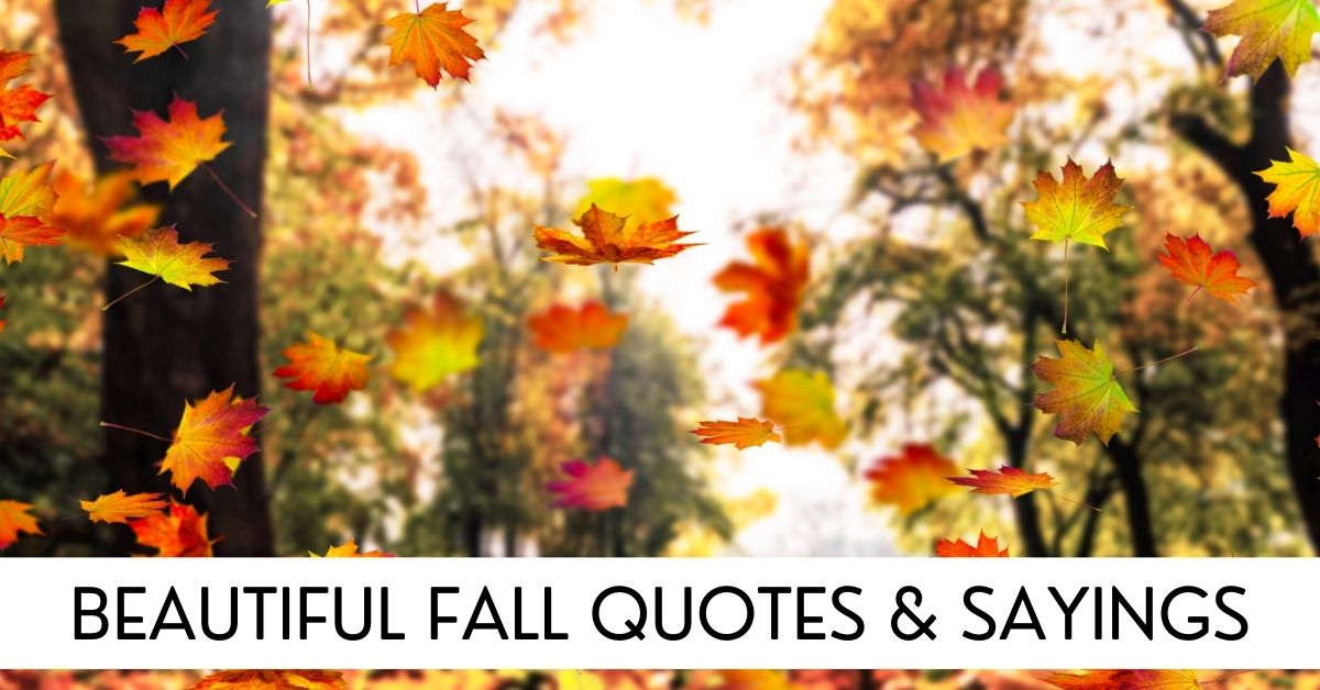 fall quotes