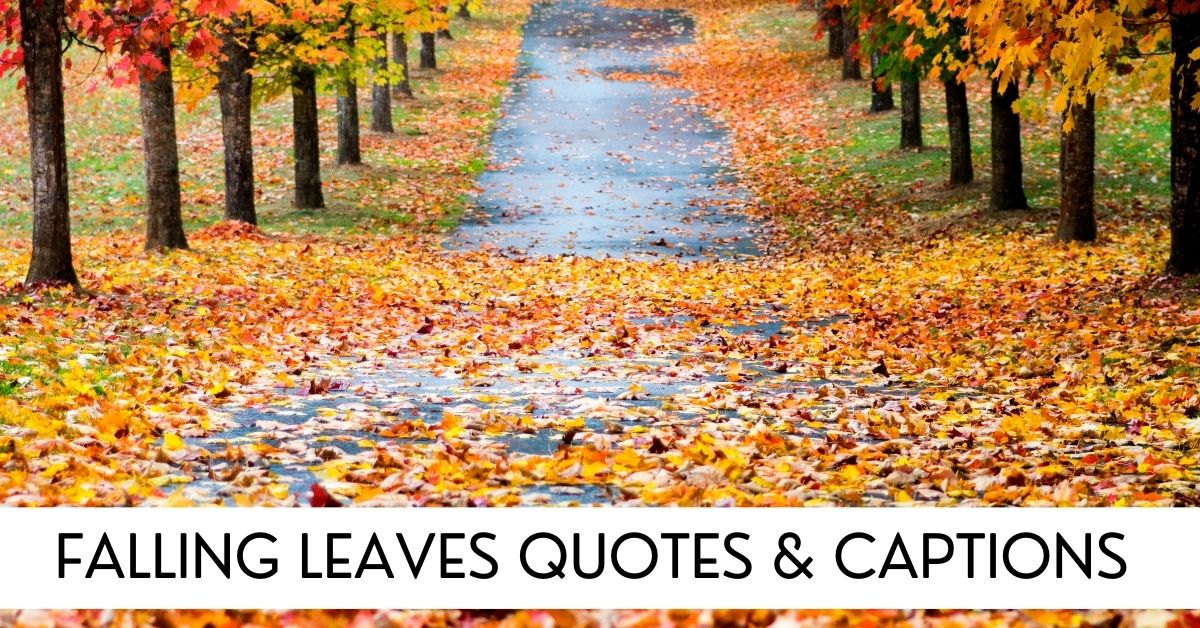 falling leaves quotes