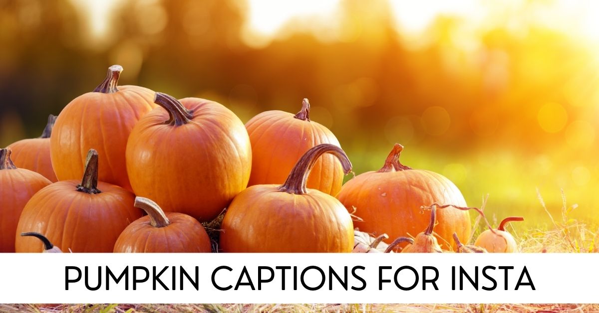 pumpkin captions