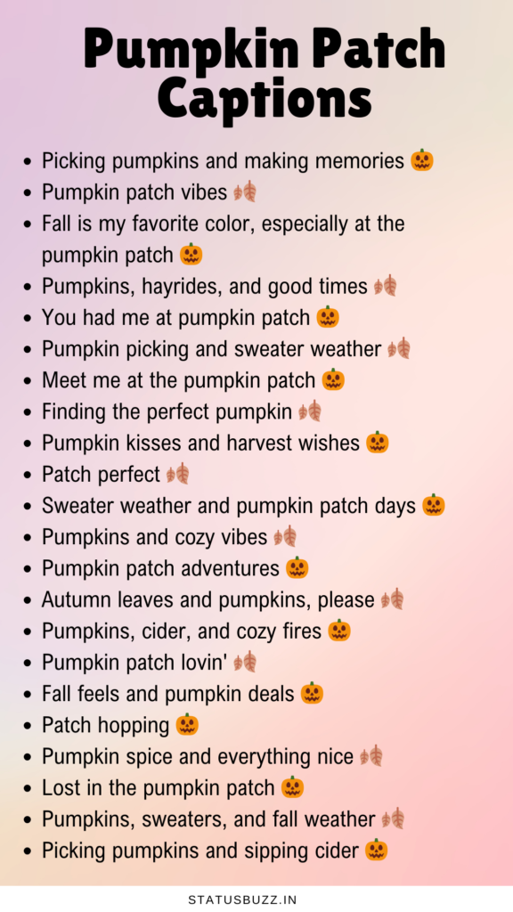 pumpkin patch captions