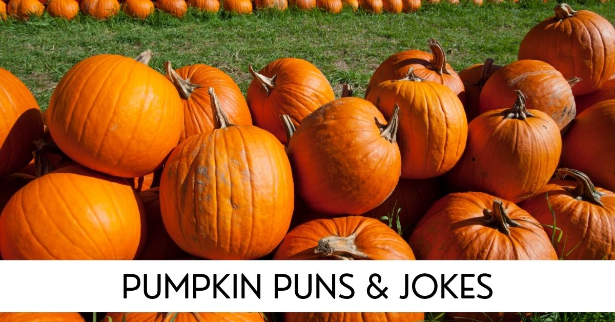 pumpkin puns