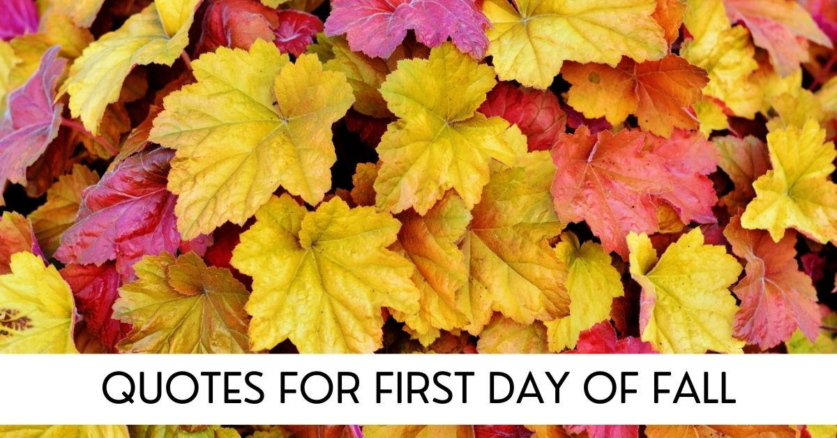 quotes for first day of fall