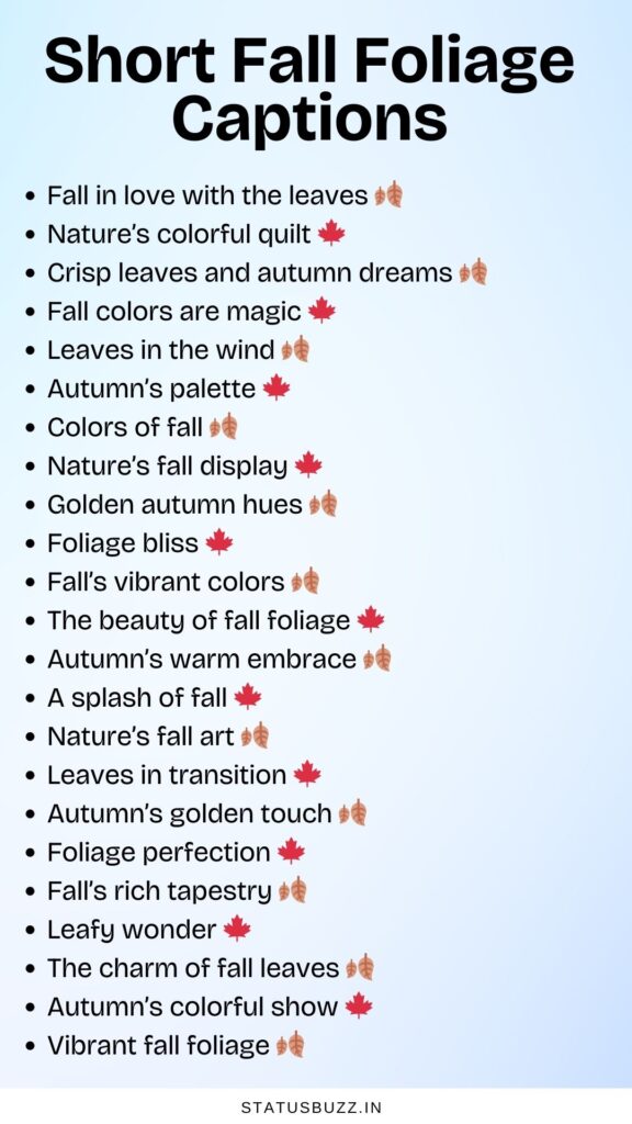 short fall foliage captions