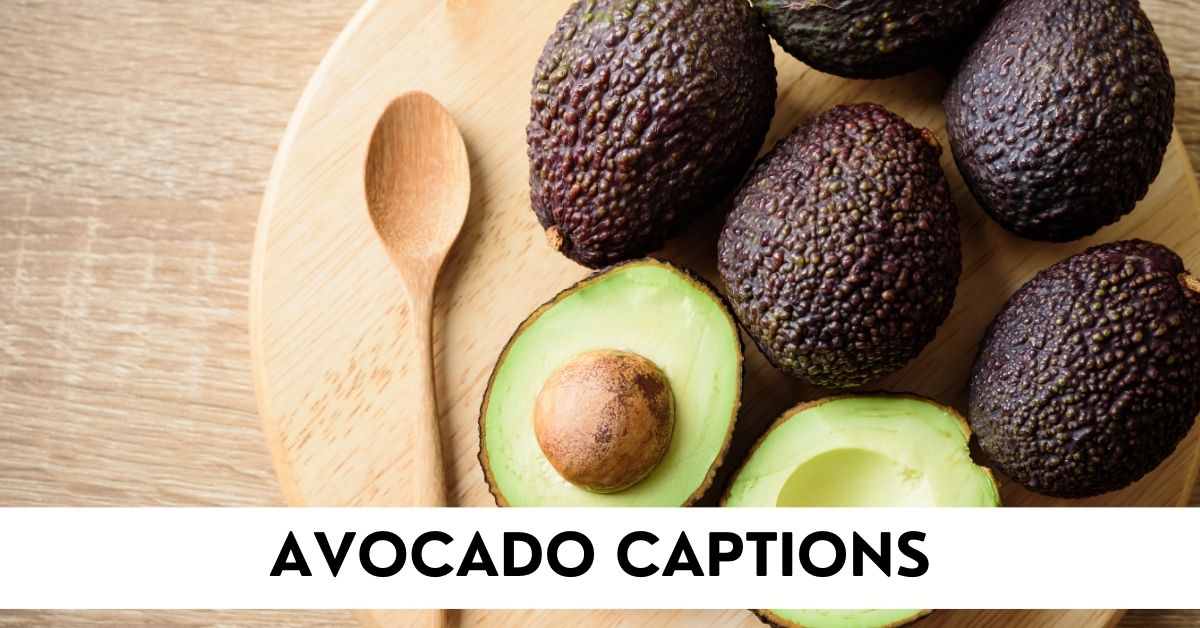 Avocado Captions