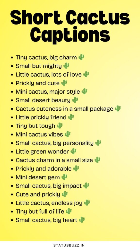 75+ Cactus Captions & Quotes For Instagram - StatusBuzz