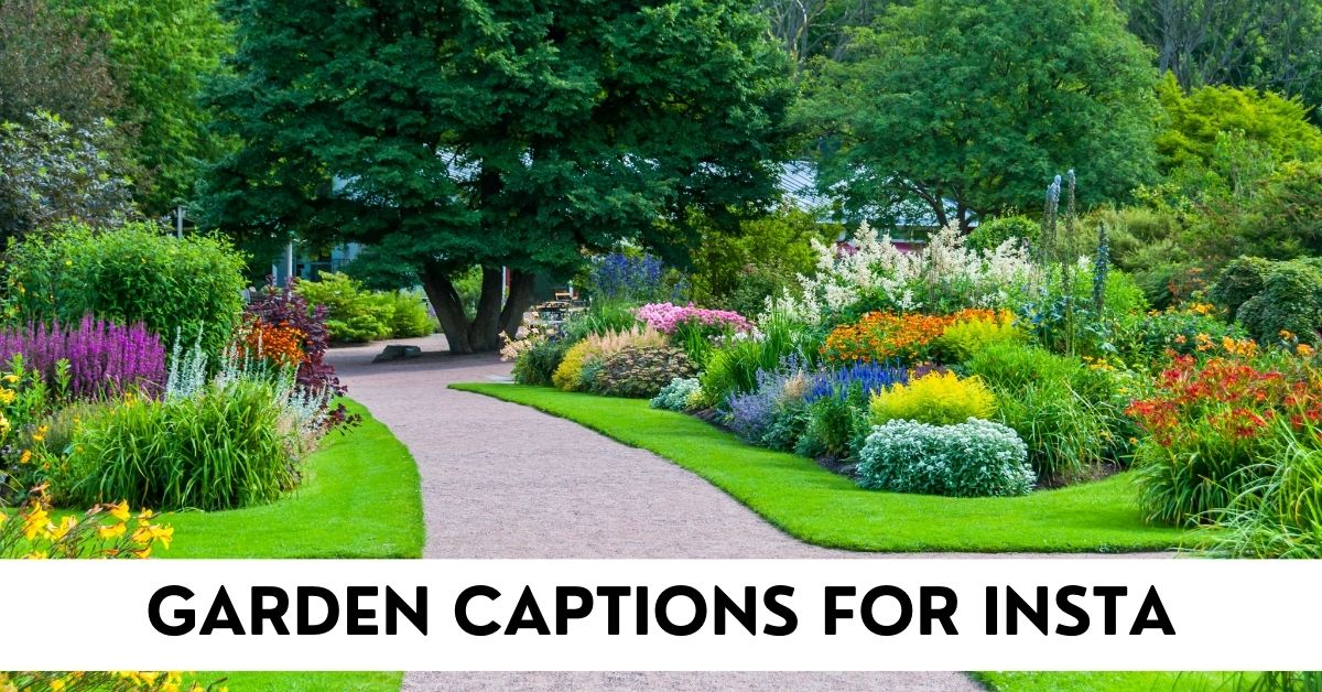 Garden Captions