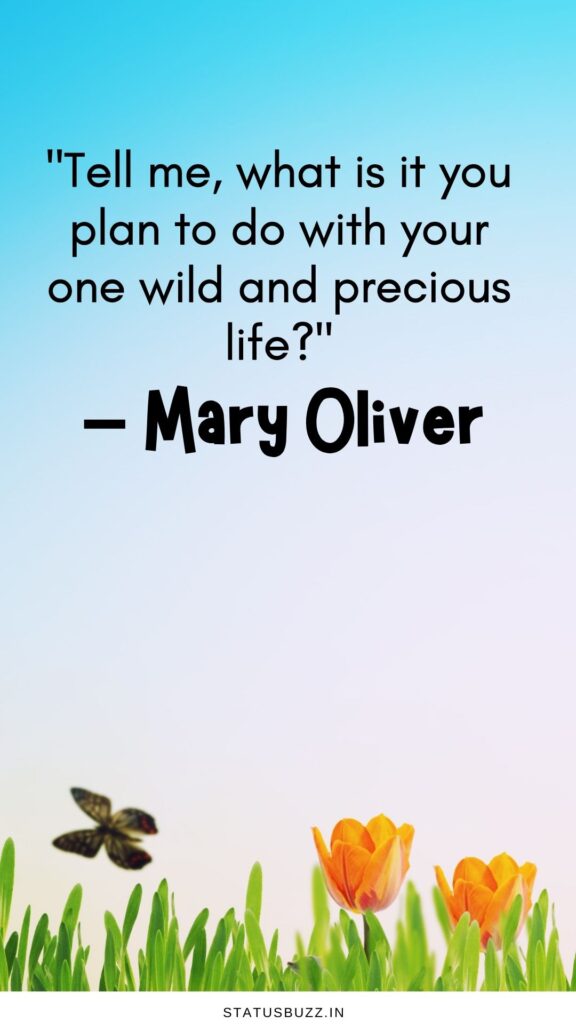 mary oliver quotes