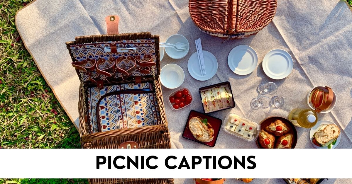 Picnic Captions