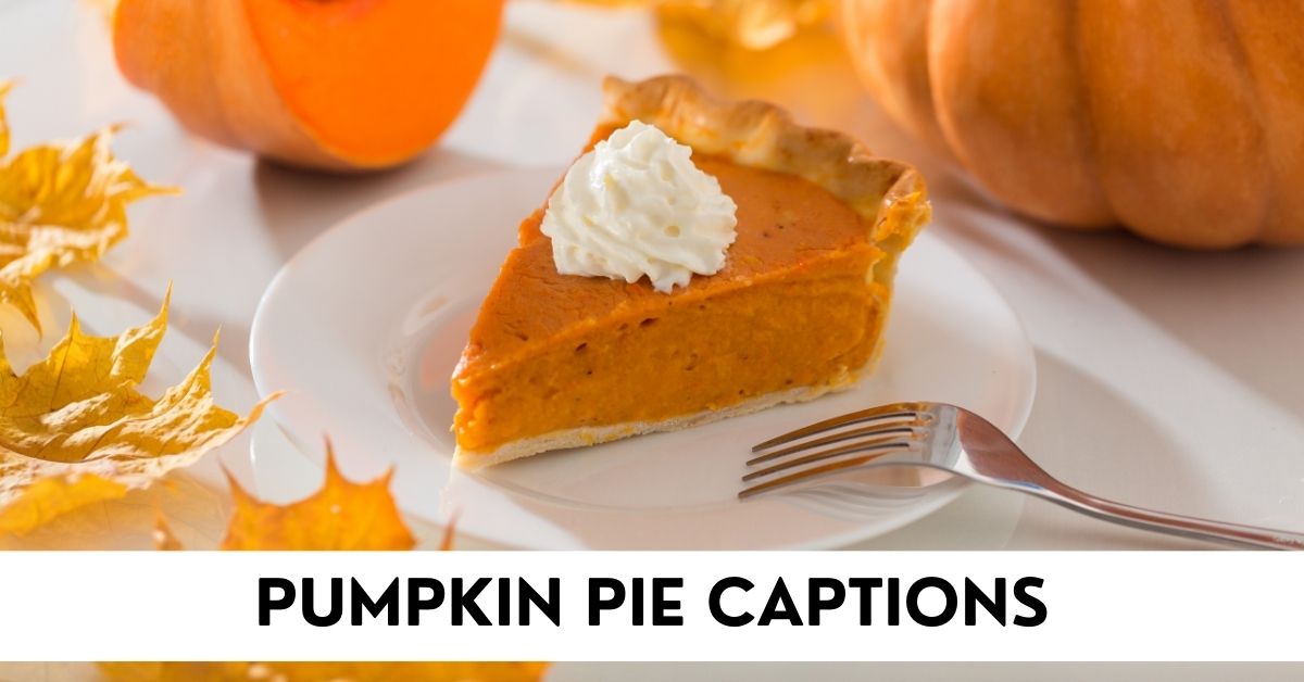 pumpkin pie capations for instagram