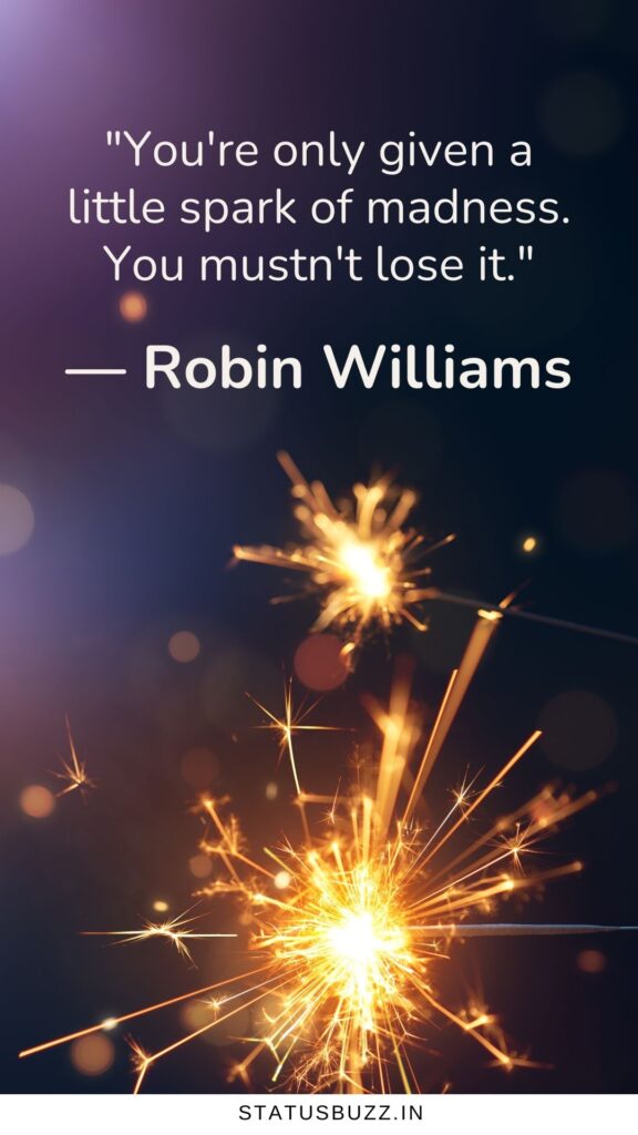 robin williams quotes