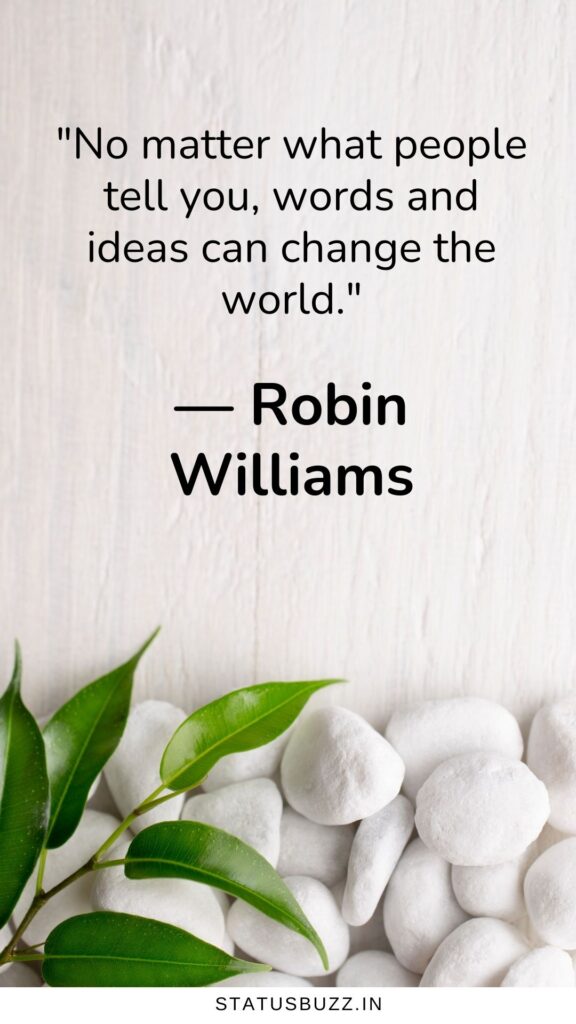 robin williams quotes