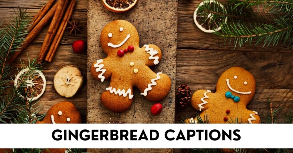 Gingerbread Captions