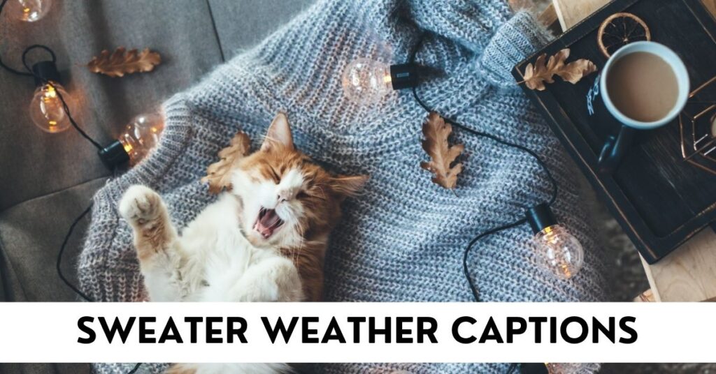 Sweater Weather Captions