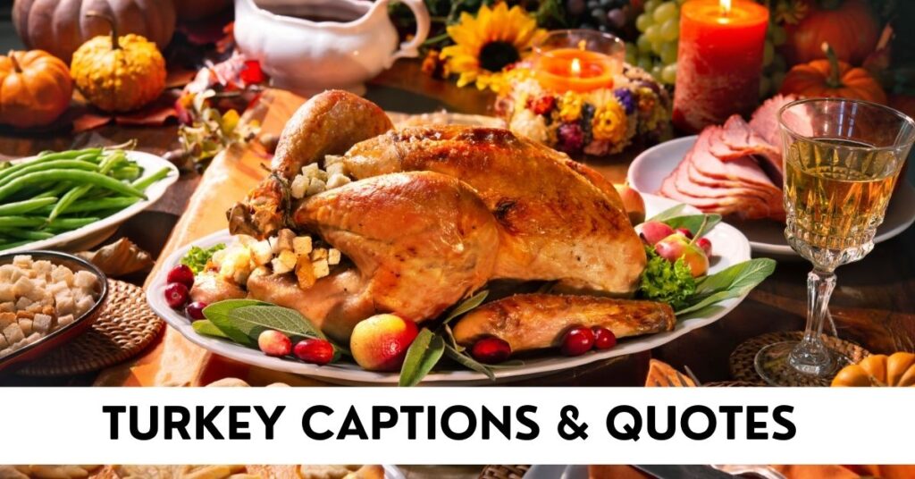 Turkey Captions