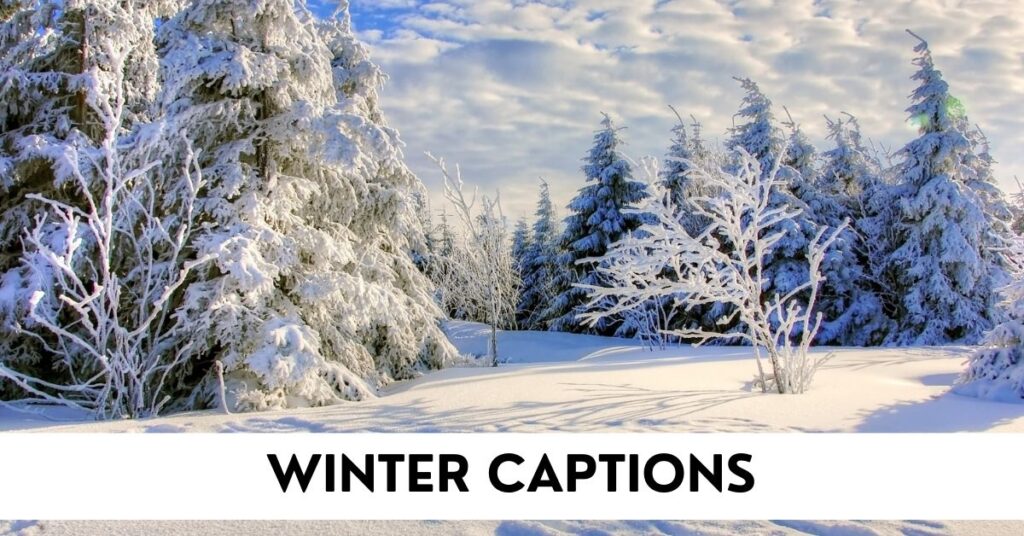 Winter Captions
