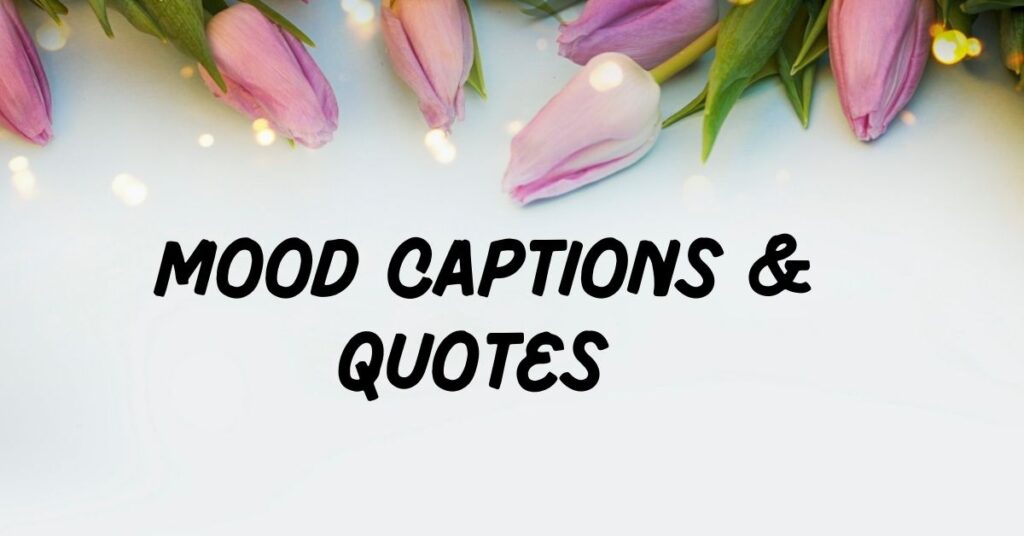 Mood Captions