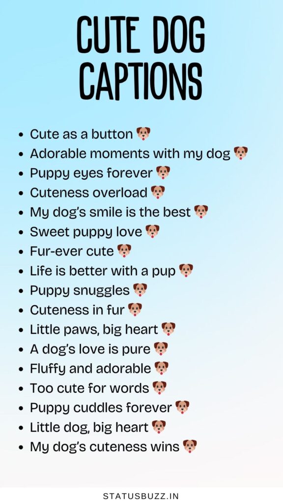 cute dog captions