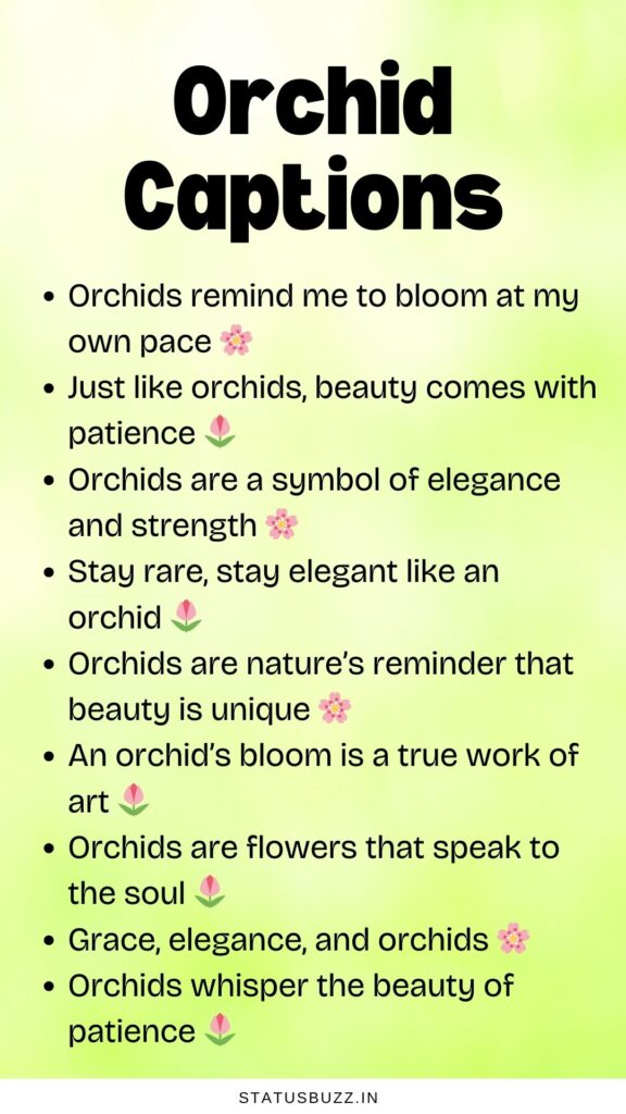 orchid captions