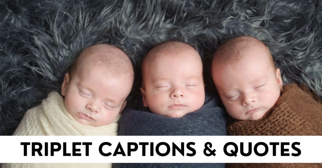 Triplet Captions