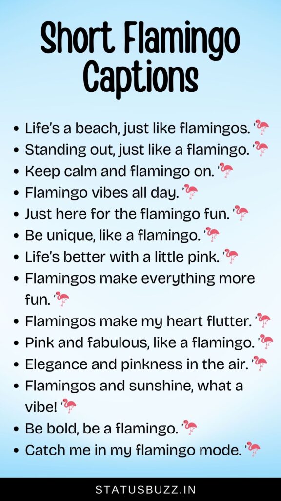 short flamingo captions for instagram