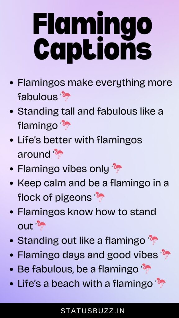 flamingo captions for instagram