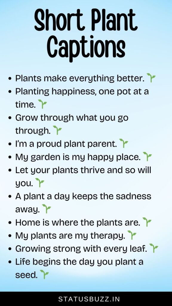 short plant captions for instagram
