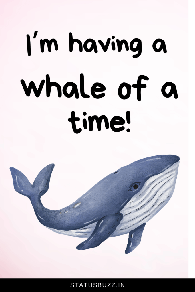 Animal Puns