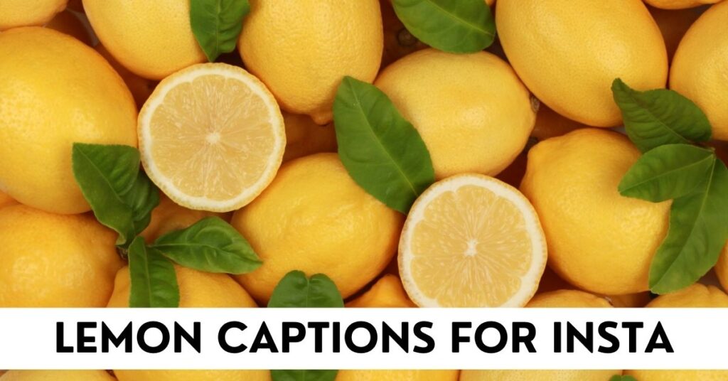 Lemon Captions