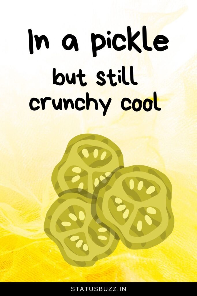 pickle puns