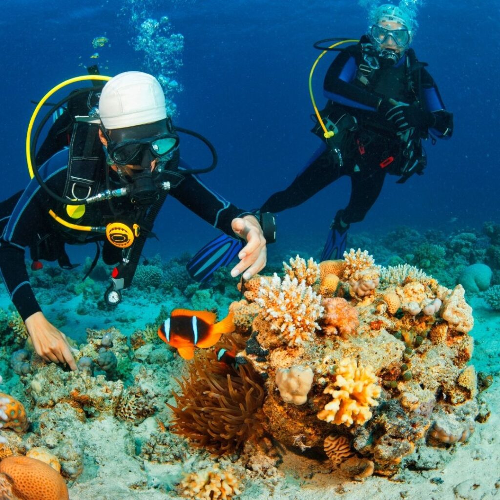 Go on a Snorkeling Adventure