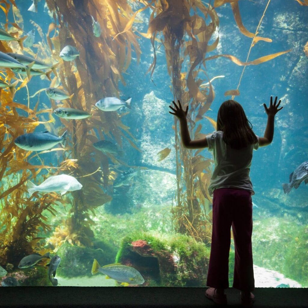 Visit a Zoo or Aquarium
