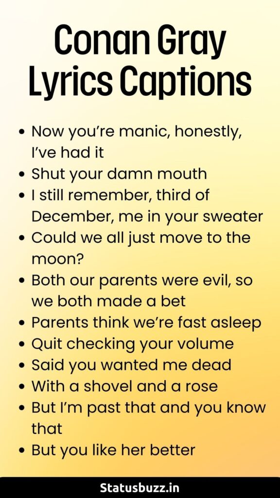 Conan Gray Lyrics Captions (1)