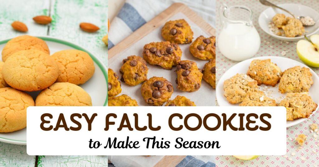 Easy Fall Cookies to Make This Season