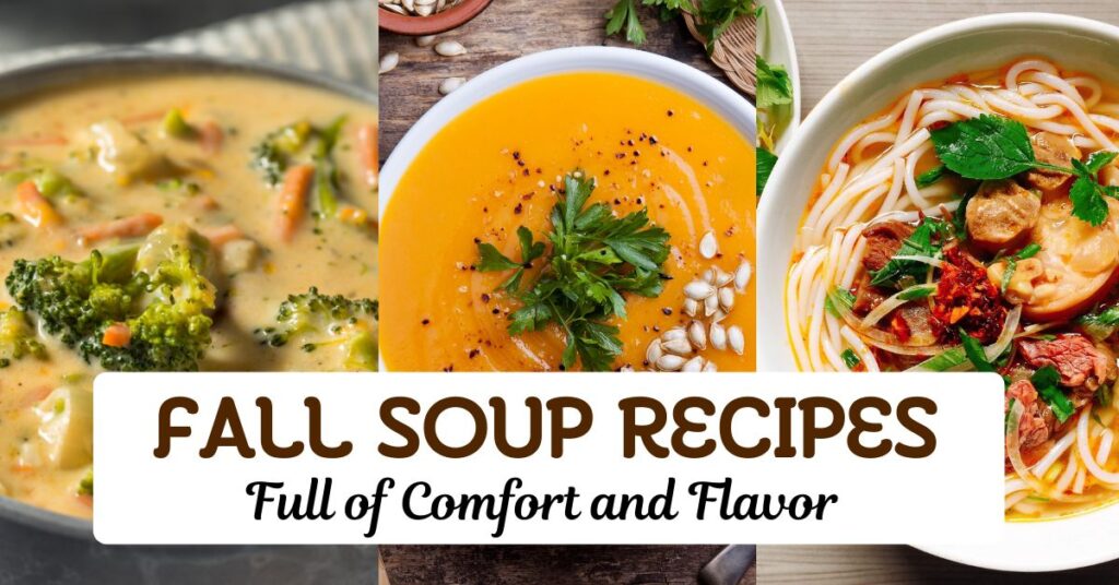 Fall Soup Recipes Full of Comfort and Flavor