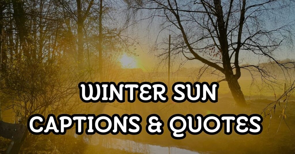 Winter Sun Captions & Quotes For Instagram