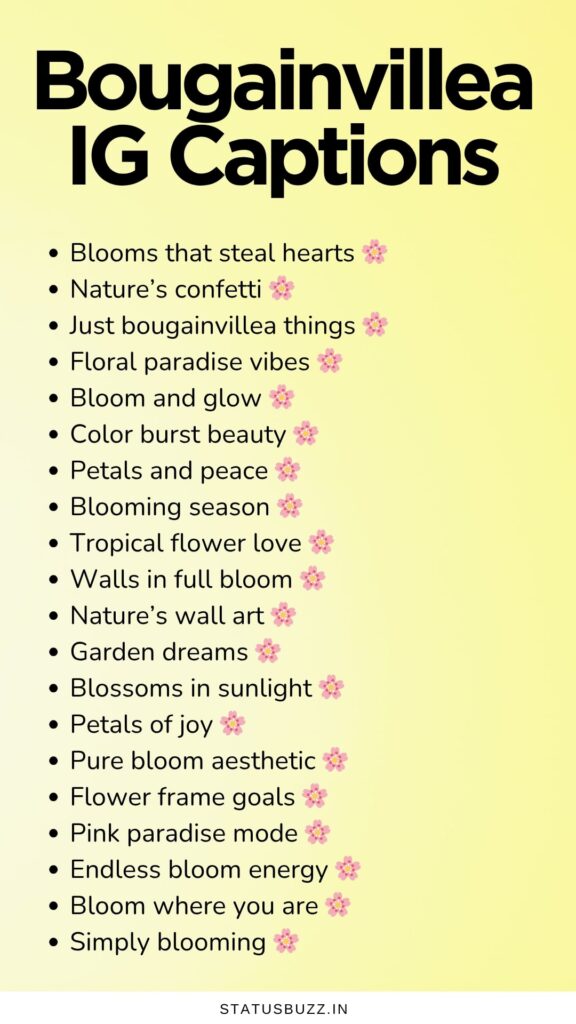 bougainvillea captions