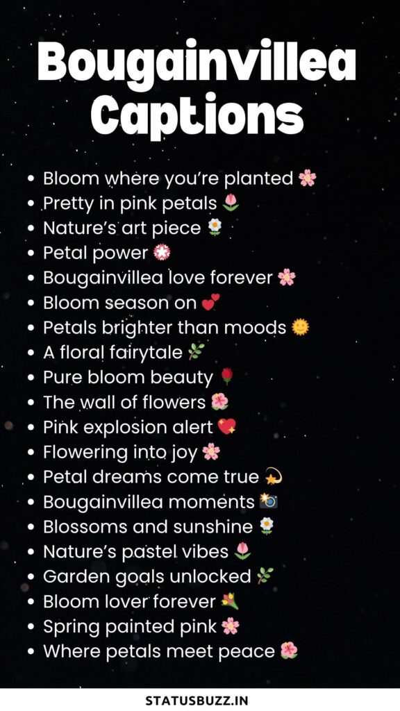bougainvillea captions