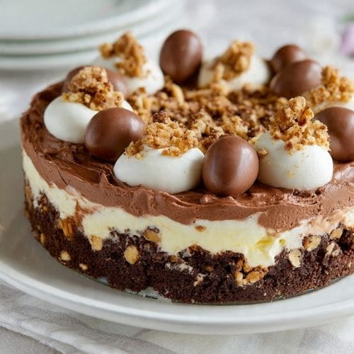 Chocolate Hazelnut Dirt Cake