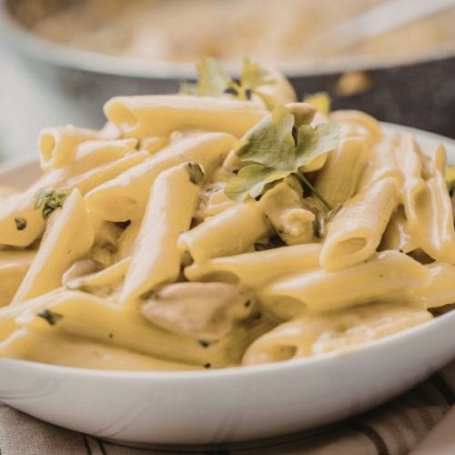 Creamy Chicken Alfredo