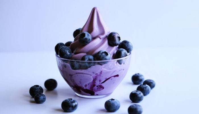Blueberry Frozen Yogurt