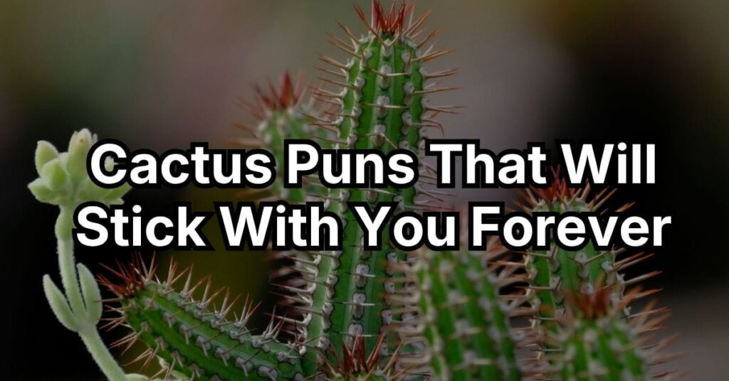 Cactus Puns That Will Stick With You Forever